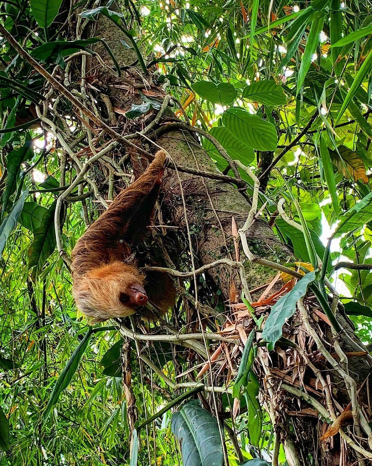 Casa Gamboa, La Fortuna Bagian luar foto